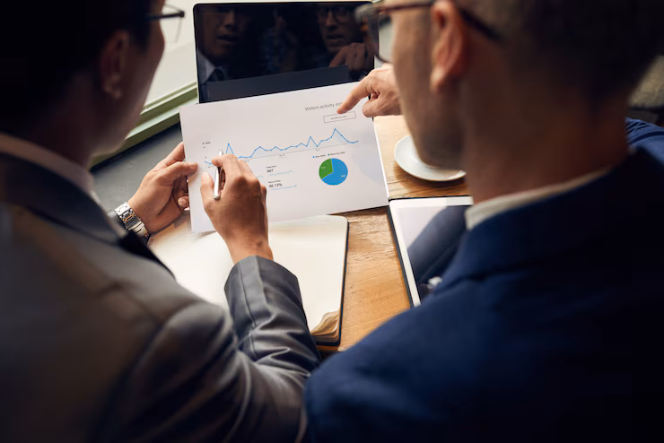expert business analysts working with data and reports
